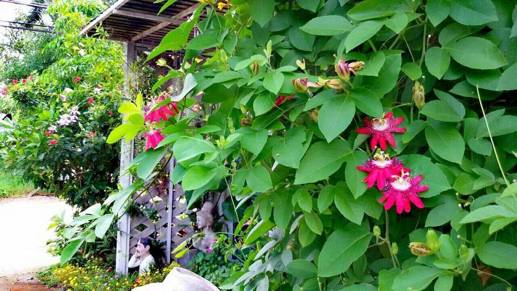 Lampang Lanna Home Exterior foto