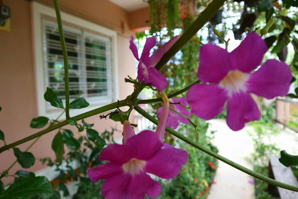 Lampang Lanna Home Exterior foto